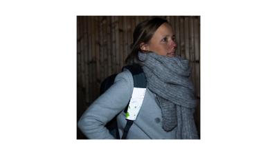 Wowow Quadro  XXL gelb, grau Produktbild 2