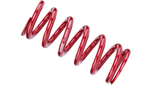 RockShox Feder  1 1/8" rot