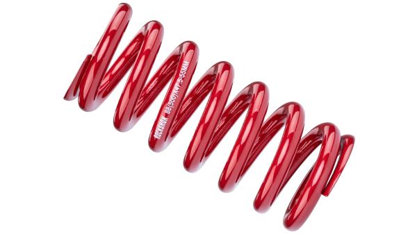 RockShox Feder  1 1/8" rot