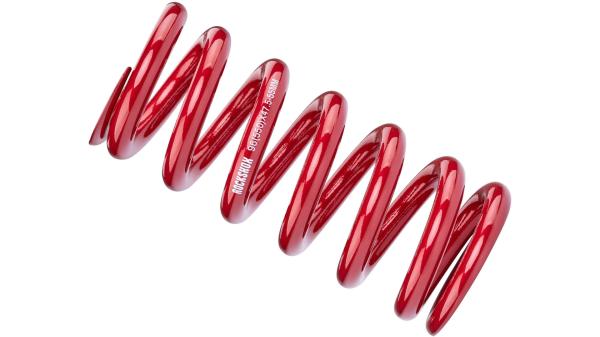RockShox Feder  1 1/8" rot