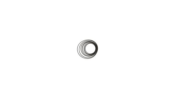 SRAM Stealth Ring-Set  XL schwarz