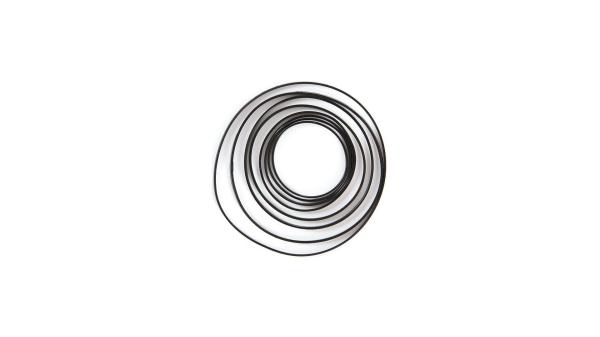 SRAM Stealth Ring-Set  L schwarz