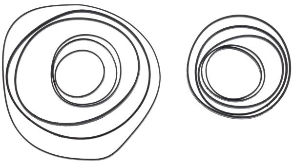 SRAM Stealth Ring-Set  L schwarz