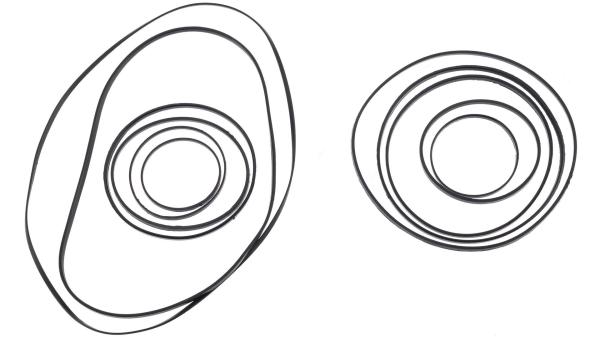SRAM Stealth Ring-Set  L schwarz