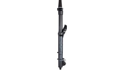 RockShox Domain RC  1 1/8"-1,5" tapered schwarz, grau Produktbild 1
