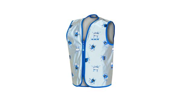 Wowow Goyo FR Kinder XS silber, blau