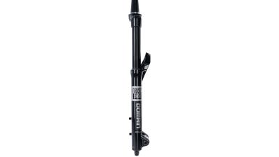 RockShox Domain RC3  L schwarz, grau Produktbild 1