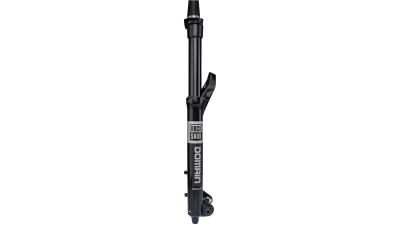 RockShox Domain RC3  L schwarz, grau Produktbild 1