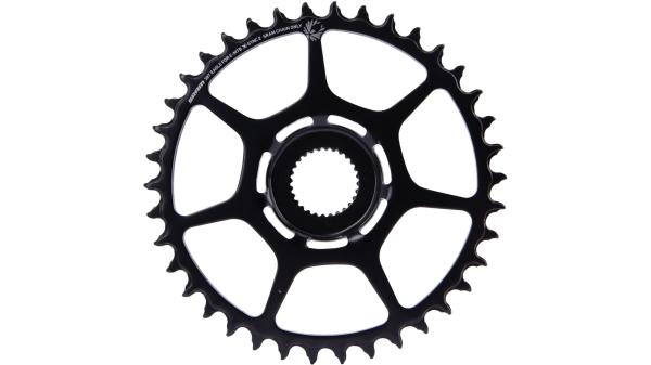 SRAM Kettenblatt  Unisize schwarz