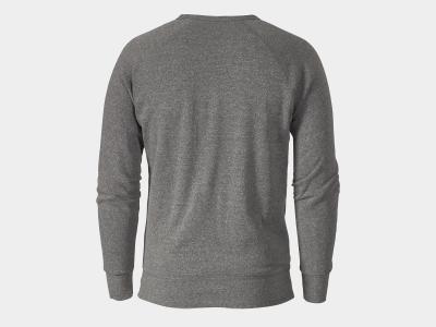 Trek Shirt Trek Circle Rundhals S Grey Produktbild 1