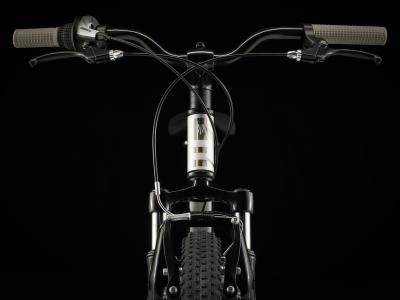 Trek Precaliber 24 8S Sus 24 Quicksilver Produktbild 4