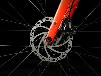 Trek FX 2 MS XL Lava Produktbild 5