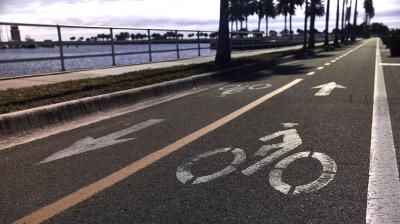 Trek Allant+ 5 Lowstep XL Blue Sage 545 Produktbild 2