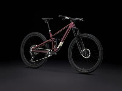 Trek Top Fuel 9.9 XX AXS L Axinite Flip Produktbild 1