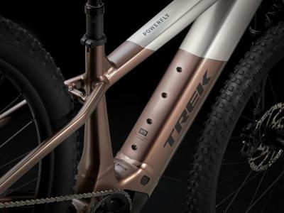 Trek Powerfly+ 8 EU L 29 Satin Lunar Silver/Bronze Age Produktbild 4