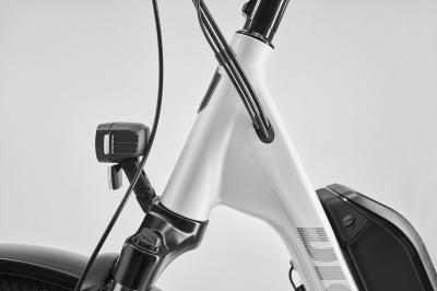 Diamant Zing Trip Core LS S Baumwollweiss Metallic 800Wh Produktbild 1