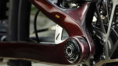 Trek Fuel EX 9.9 X0 AXS XXL Gloss Dark Carmine/Matte Tr Produktbild 9