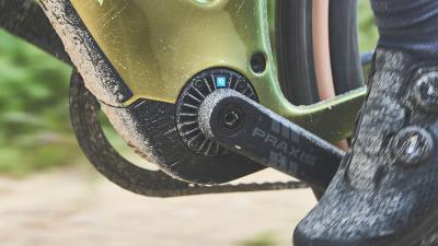 Trek Checkpoint+ SL 5 EU S Matte Bronze Age/Dark Web Produktbild 5