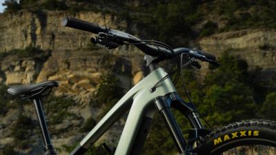 Trek FUEL+ EX 9.8 EA90 EU XL Gloss Navy Smoke/Matte Tre Produktbild 6