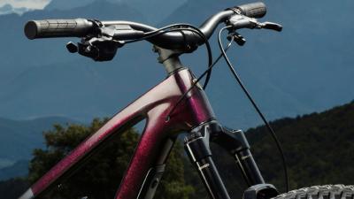 Trek Fuel EX 9 X0 AXS XL Matte Sedona Red/Pennyflake Sp Produktbild 6