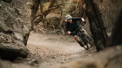 Bontrager Sattelst&uuml;tze BNT Line Elite Dropper 100 Federw. 34 Produktbild 6