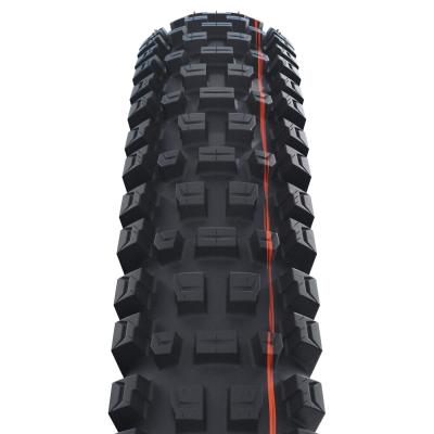 Schwalbe FALTREIFEN ALBERT RADIAL Trail Pro Soft 63-584 Schwarz Produktbild 1